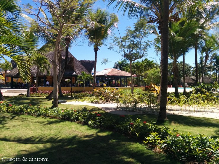 catalonia gran dominicus bayahibe