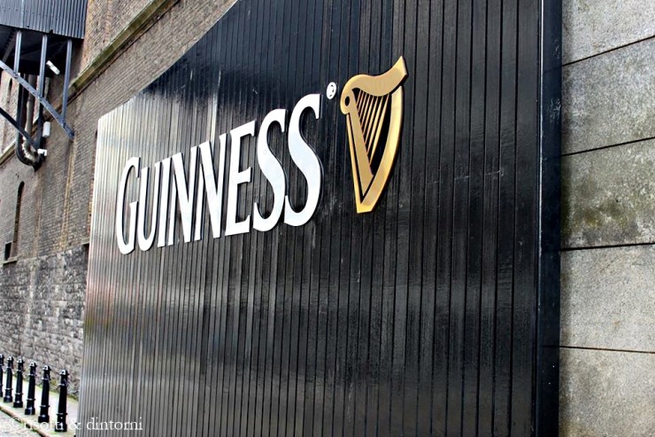 guinness dublino