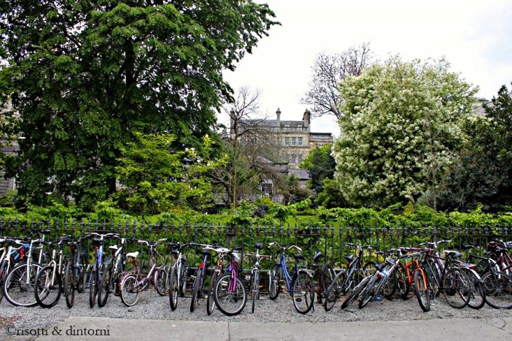 trinity college