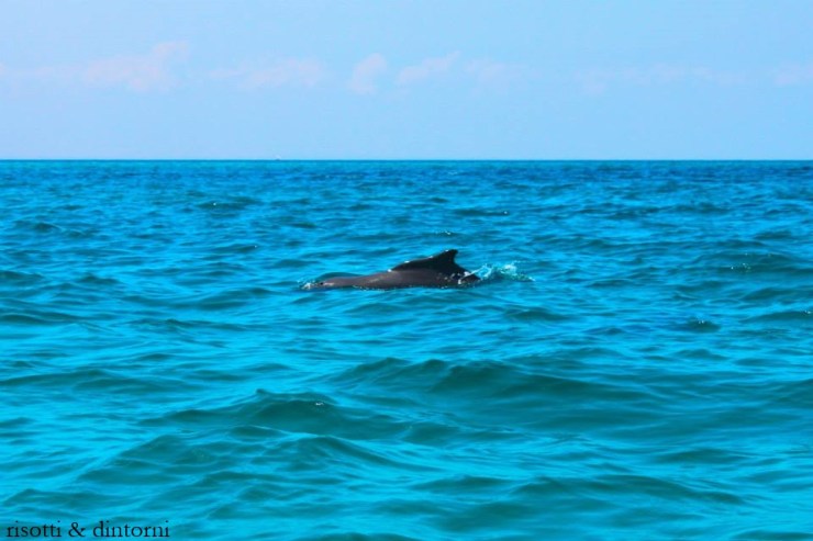 zanzibar4