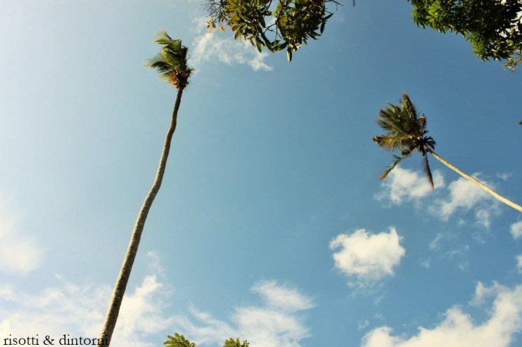 zanzibar9