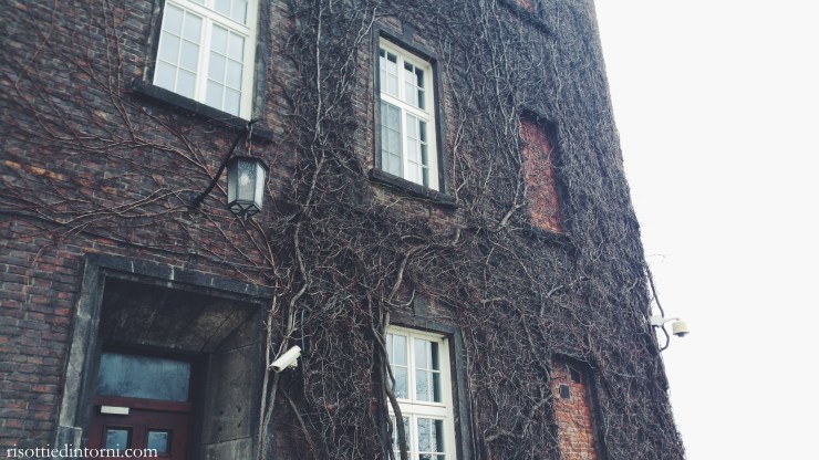 risotti & dintorni - cracovia