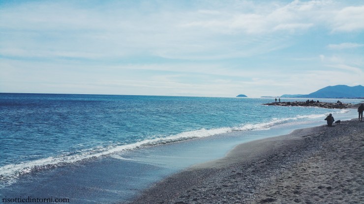 risotti e dintorni - mare