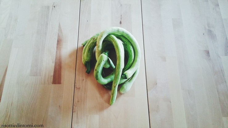 risotti e dintorni - zucchine trombetta