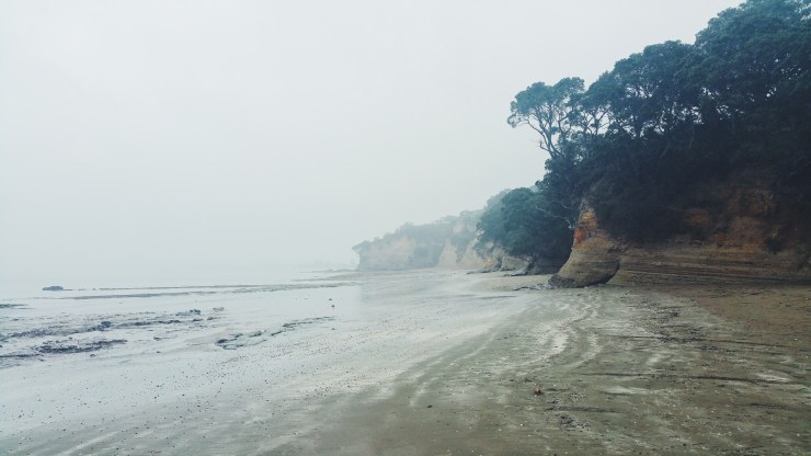 risotti e dintorni, new zealand, nuova zelanda