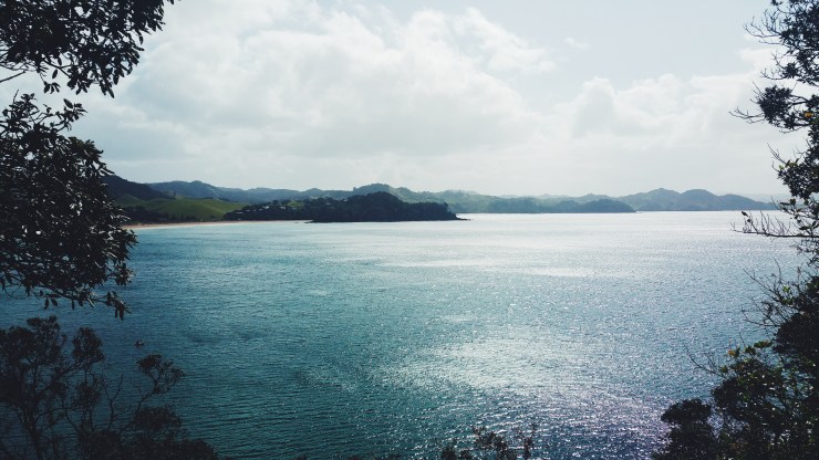 risotti e dintorni new zealand nuova zelanda