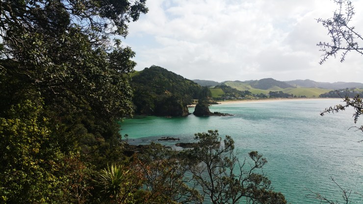 risotti e dintorni new zealand nuova zelanda