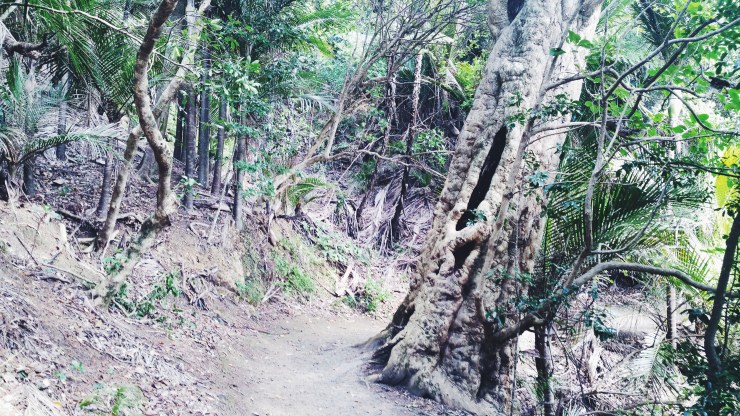 risotti e dintorni new zealand nuova zelanda