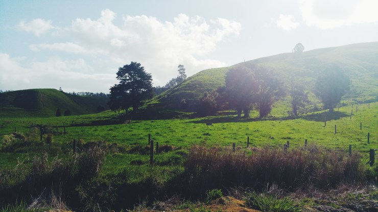risotti e dintorni new zealand nuova zelanda