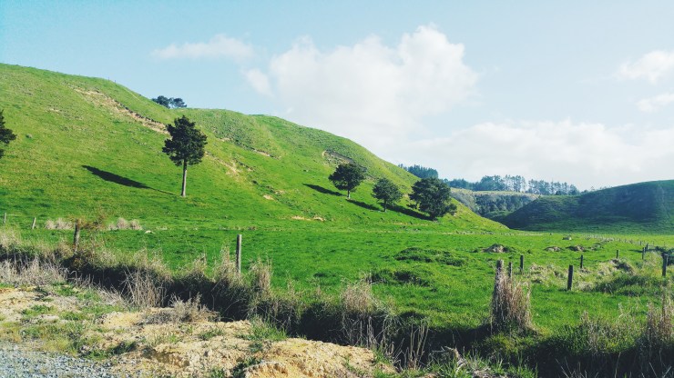 risotti e dintorni new zealand nuova zelanda