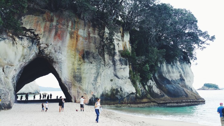 risotti e dintorni new zealand nuova zelanda coromandel 