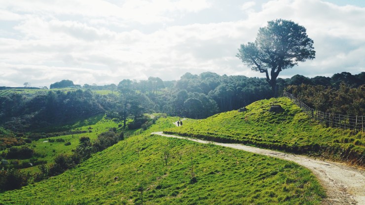 risotti e dintorni new zealand nuova zelanda coromandel 