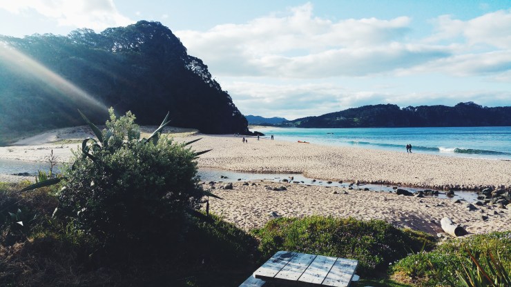 risotti e dintorni new zealand nuova zelanda coromandel 