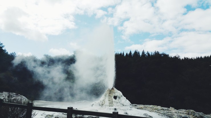 new zealand, nuova zelanda, rotorua, geyser, lady knox, lady knox geyser, nature, natura