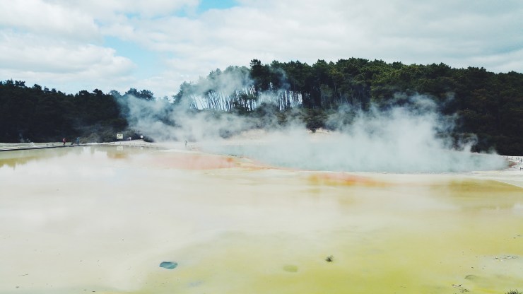 risotti e dintorni, new zealand, nuova zelanda, rotorua, parco termale