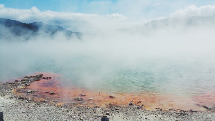 risotti e dintorni, new zealand, nuova zelanda, rotorua, parco termale