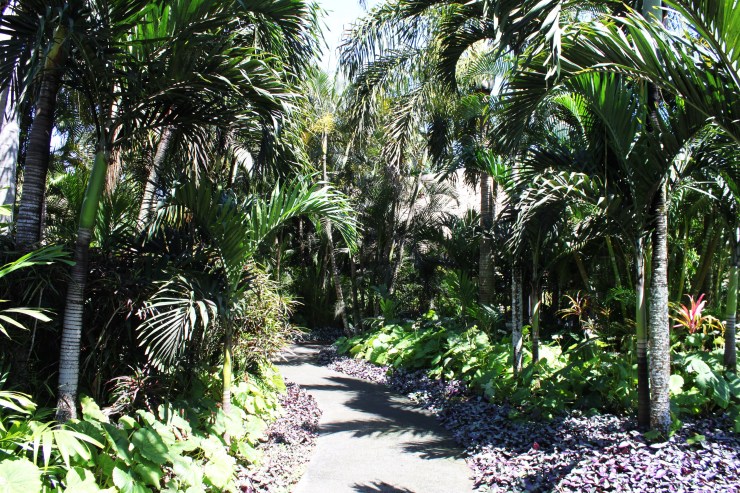 risotti e dintorni, isole cook, cook islands, honeymoon, luna di miele