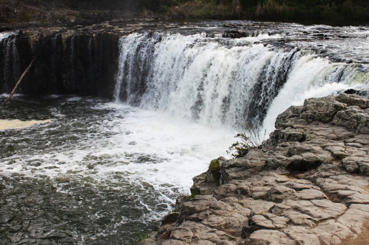 risotti e dintorni nuova zelanda haruru falls viaggio consigli curiosità