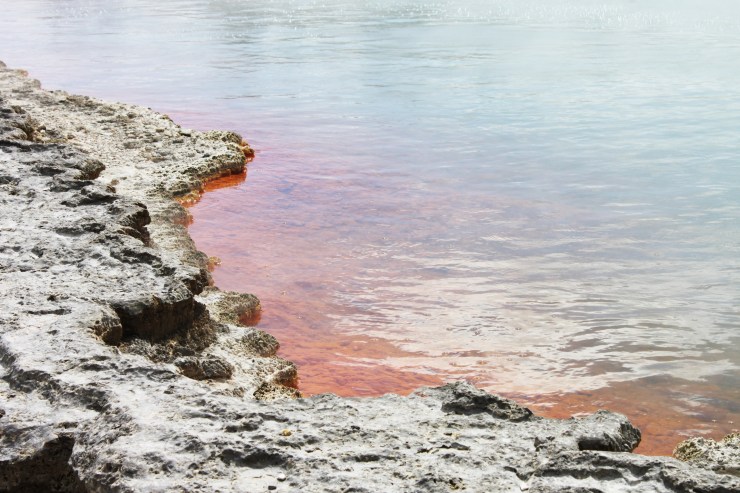 risotti e dintorni nuova zelanda rotorua wai-o-tapu terme viaggio curiosità consigli