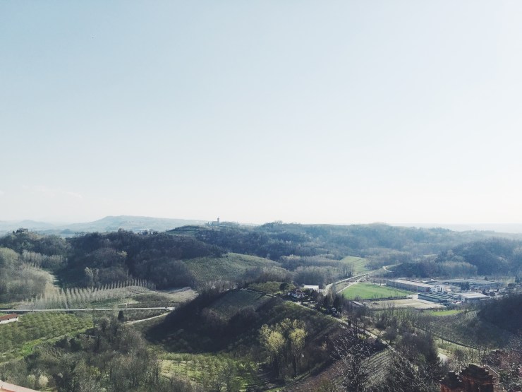 risotti e dintorni langhe roero piemonte barolo monticello d'alba