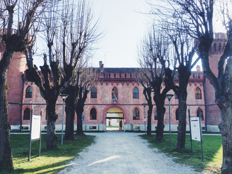 risotti e dintorni banca del vino