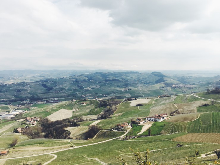 risotti e dintorni lamorra langhe barolo